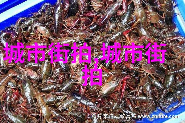 男生衣服颜色搭配-春夏秋冬男生时尚穿搭指南