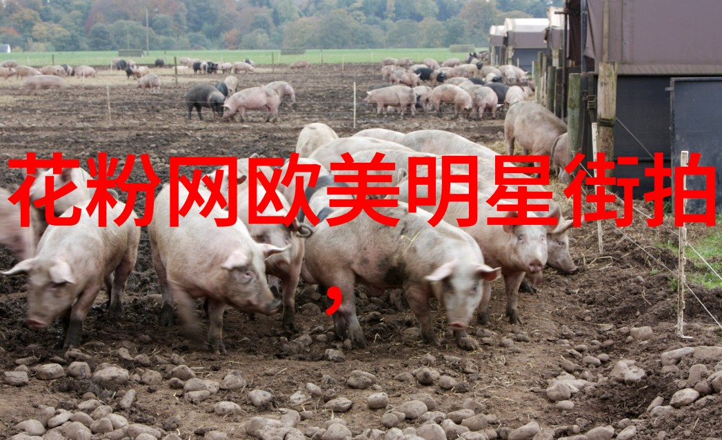 创意造型实操美发师课堂视频解析