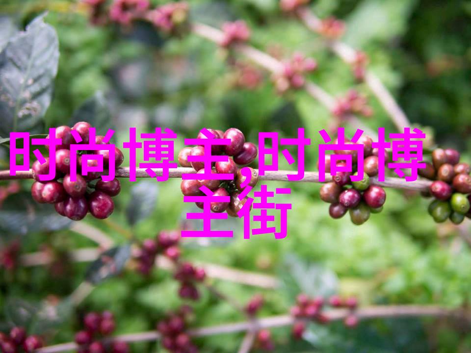 户外服装能让你在风雪中依然温暖吗