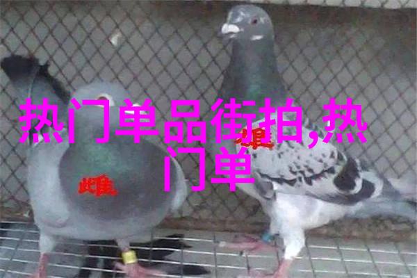 杭州房屋合租寻找室友共享美好生活