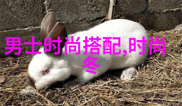 发型设计App哪个好探索美发新潮流