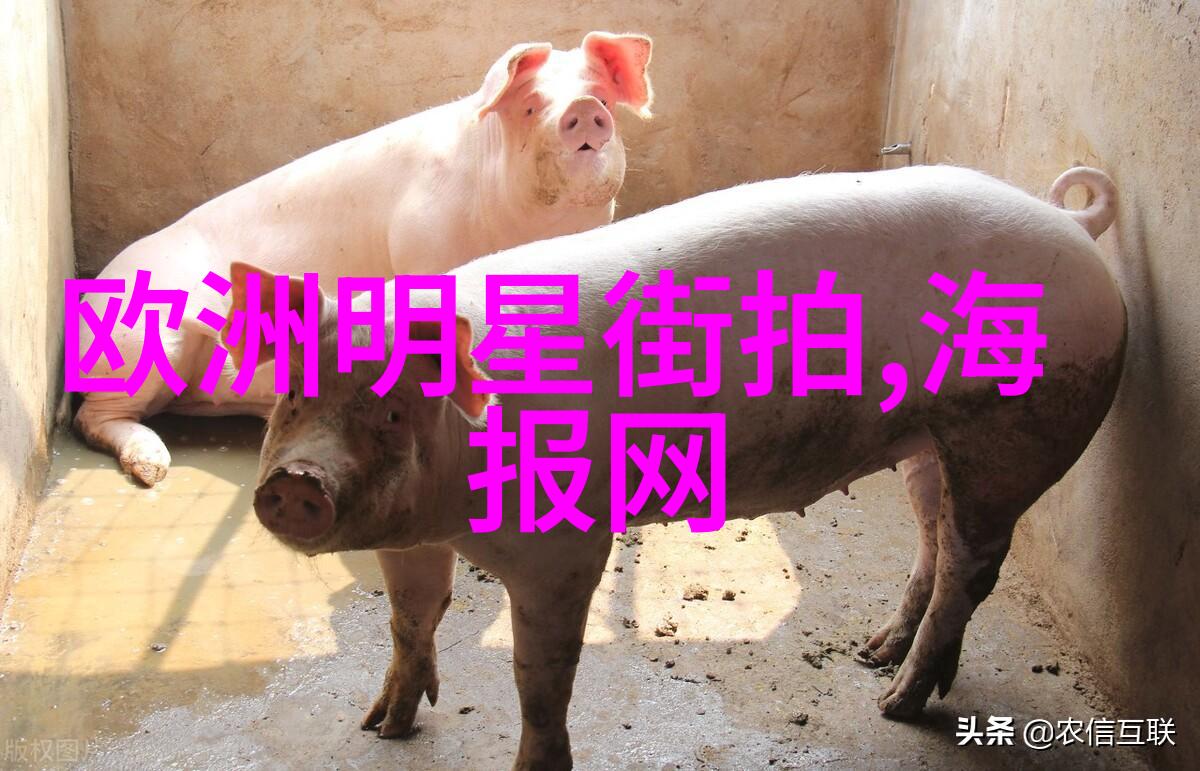 男装艺术品化探索男士搭配衣服图片中的人文关怀