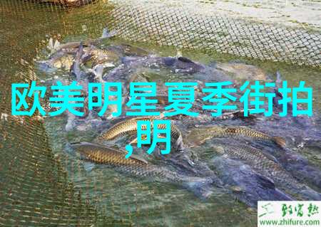 魅惑娱乐圈我是如何在娱乐圈中一步步走红的