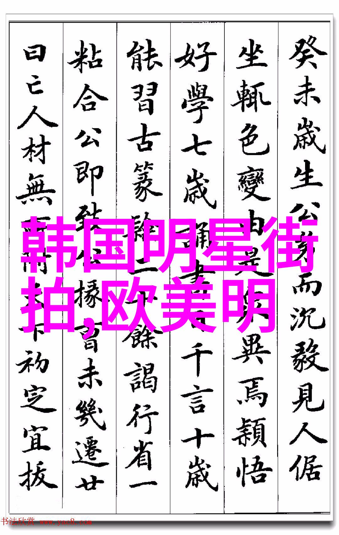 高速公路上的兄弟情深男车手们的激情与速度