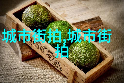 2023考研大纲解密新篇章中隐藏的挑战与机遇