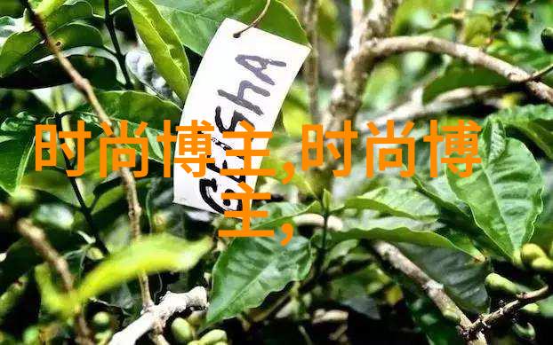 40一50岁烫什么发型好 - 中年魅力适合40-50岁人的时尚发型推荐