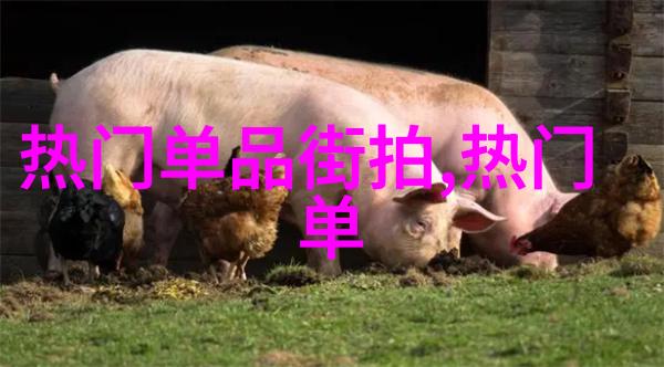 爱很美味卧虎藏龙也美味