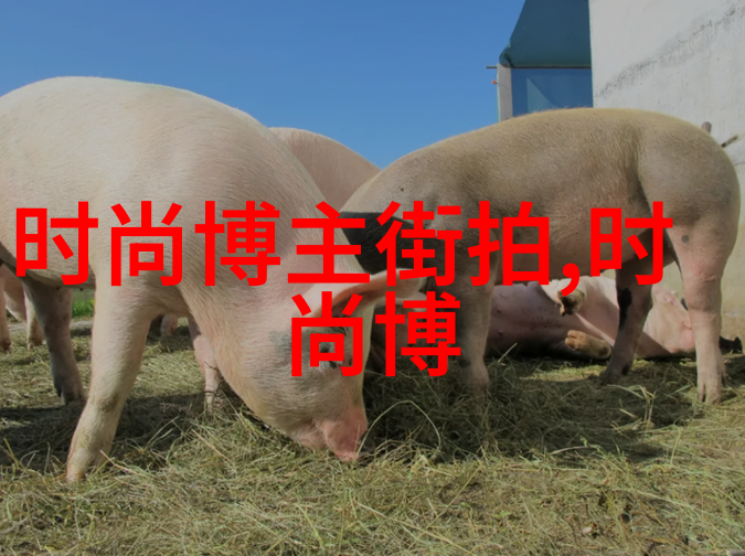 主题-成熟的眼光JEALOUSVUE五十岁时的独特视角