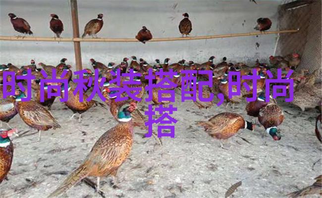 情感与隐喻-爱的奇思妙想把女朋友弄成小喷泉的深层寓意探究