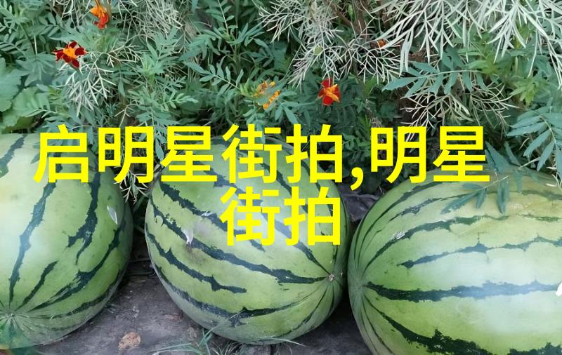 为新手打造理发视频教程从入门到精通的完整指南
