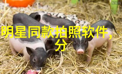 型男志与性别角色的关系有哪些深层次的探讨