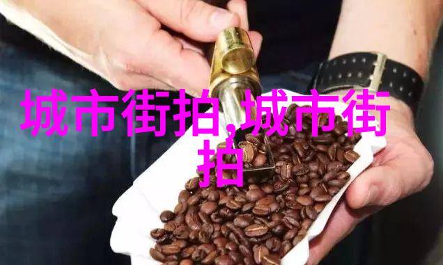 百度问答-搜寻智慧的海洋解析百度知识图谱下的互动机制与应用前景