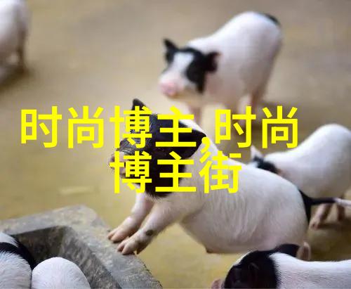 新婚佳期的温馨回忆揭秘大婚晚辰的浪漫故事