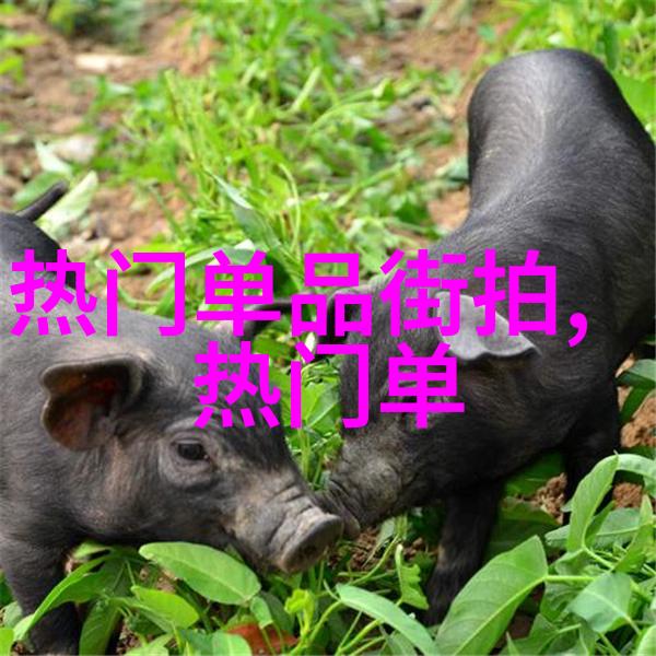 2021最新减龄发型时尚界的青春启示录