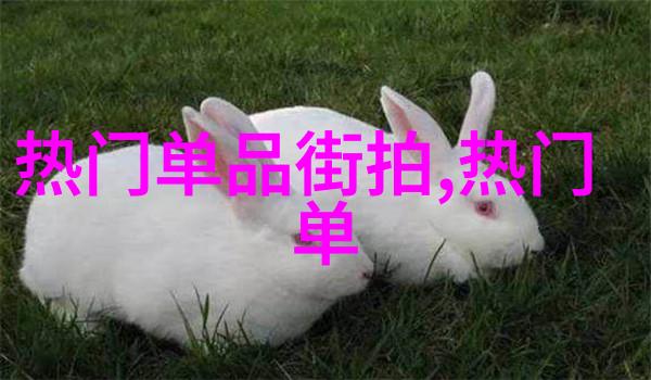 海奥华预言全文免费阅读深度解析揭秘未来世界的无限可能