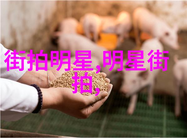 炸鸡王国揭秘这道街头美食的诞生与传承