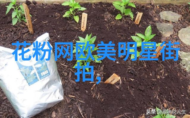 张警官视频链接我发现了一个让人心跳加速的线索