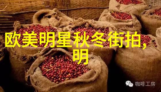 无人区免费观看视频完整-探索边界无人区的秘密视频世界