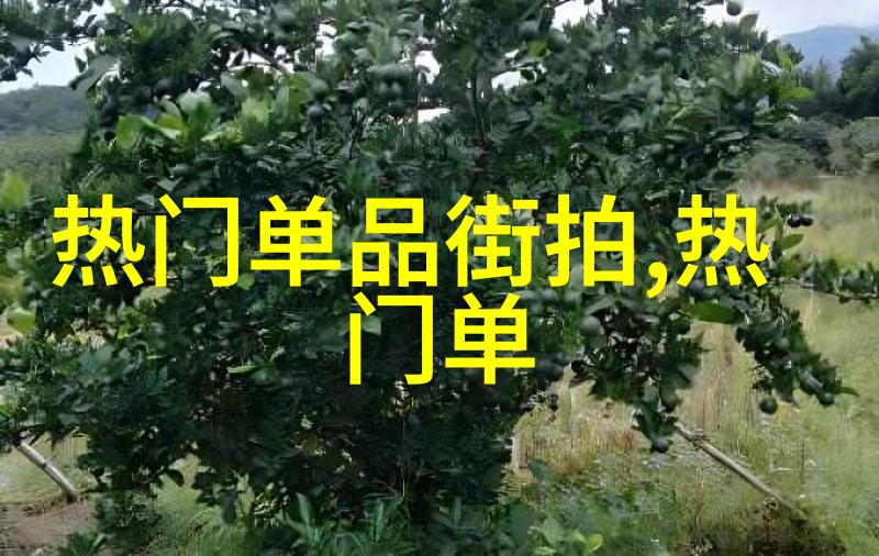 数字的沉默numb的世界与我们