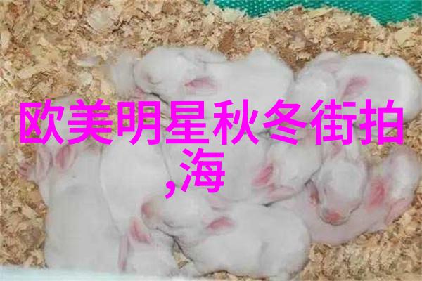男发型百宝箱探索各种男孩和男性的发型风格与图片欣赏