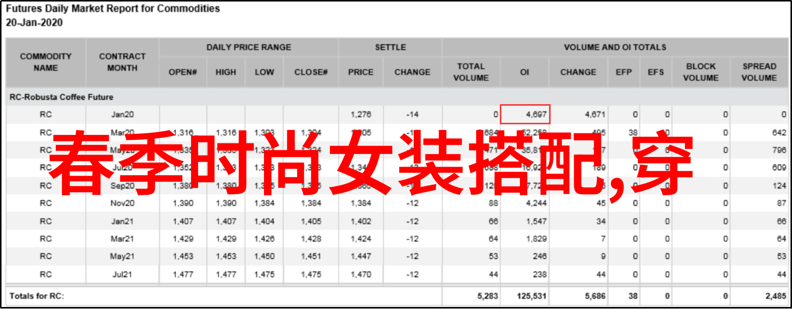 童鞋梦想绣花鞋的秘密