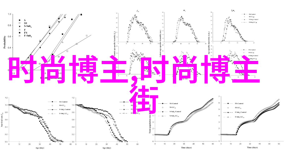 亲昵视频中的小坤坤一段温馨的家常片刻