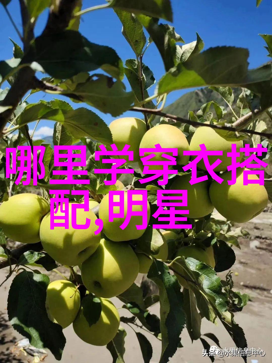 够了够了到高C的水视频探索
