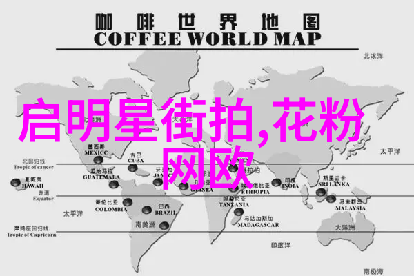 张警官破案速度新纪元