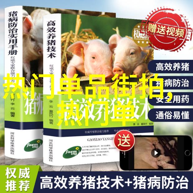 自我惩罚一天从凌晨1点到晚上8点的沉默觉醒自我约束的一日经历