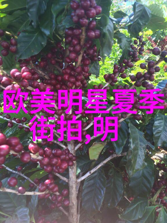 时尚太阳镜 - 流行风格的防晒之选