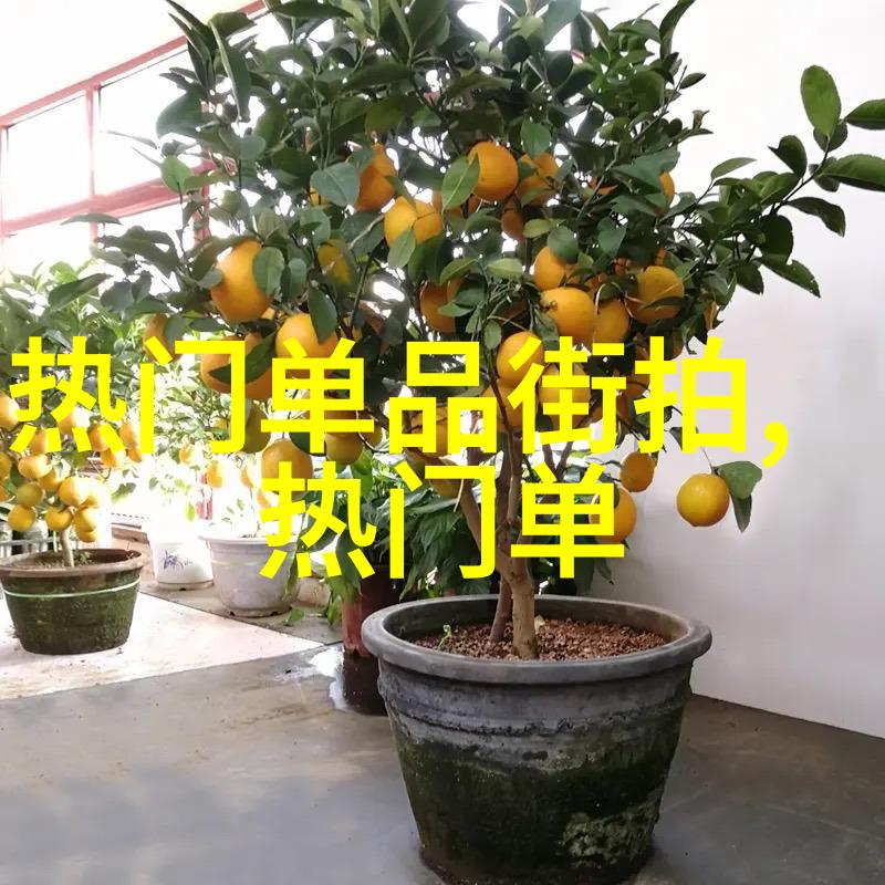 温暖冬季探索毛呢外套的时尚魅力