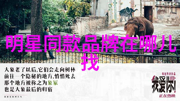 我爱的蛇瓜煮不烂的心