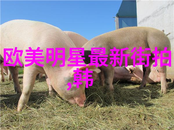 小女孩时尚发型图片甜美小天使的时尚发型