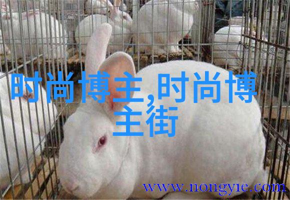 JLZZ日本人年轻护士守护生命的柔韧之心