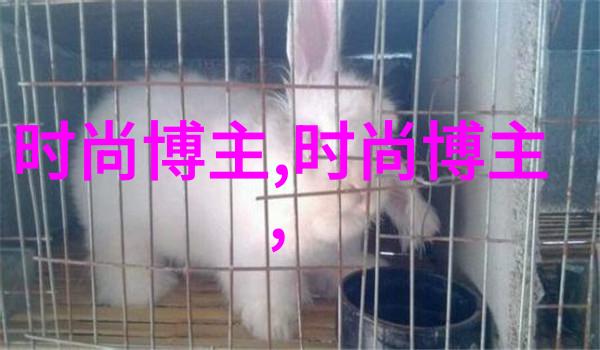 面向中小企业的适用性研究优化382385等替代策略