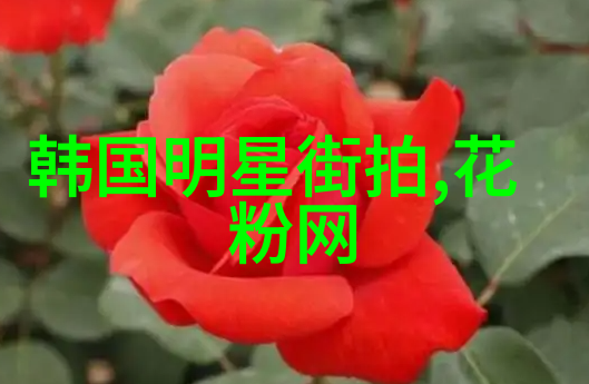 夏季男装搭配图片大全背后的故事是怎样的
