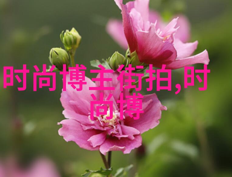 蓝色汹涌追逐梦想的无畏冲锋