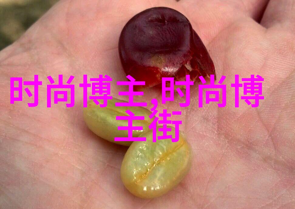 人物传记-张晓龙追梦者的故事