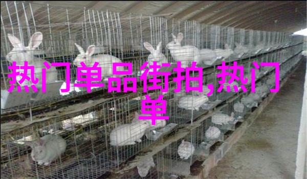 娇妻在我面前被多次打扮的故事