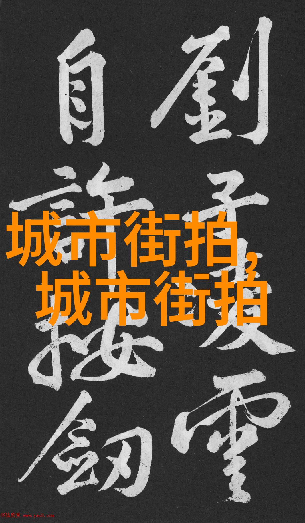 秋日暖阳下的板栗采摘味蕾上的回忆与营养的馈赠