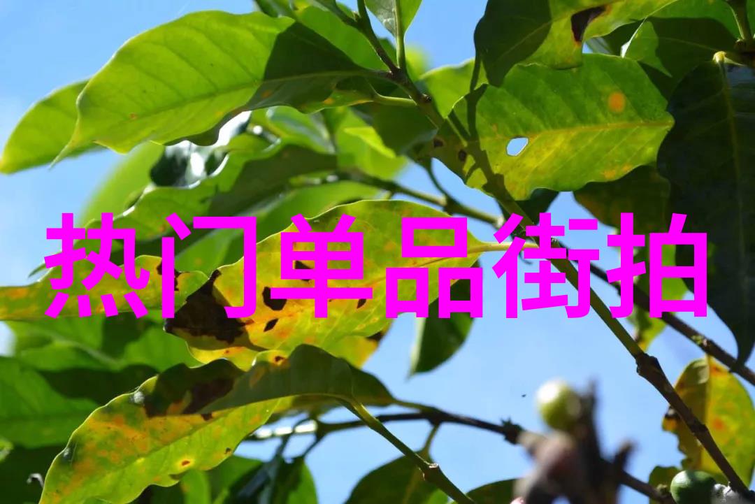 优雅风韵成熟女性的时尚搭配秘诀