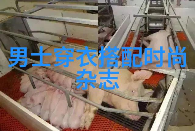 选择男装时配搭技巧如何将运动鞋与正裝相结合