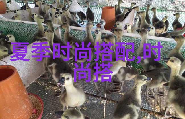 gmai - 电子邮件革命gmai如何改变我们的通信方式