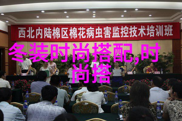未来的回声3115年地球的新纪元