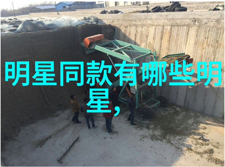爱情主题-爱是敞开的大门探索心灵相通的旅程