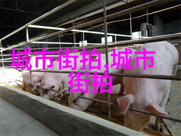 全方位探究深入分析360度视角下电脑配置的优化策略与技术前景