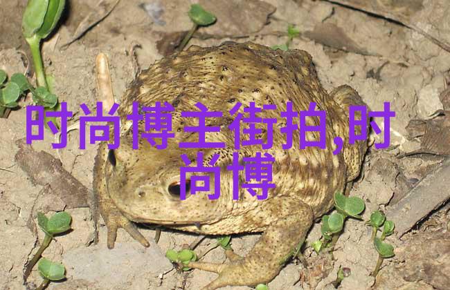 阿蒂仙之香迷失在沉默的花园中