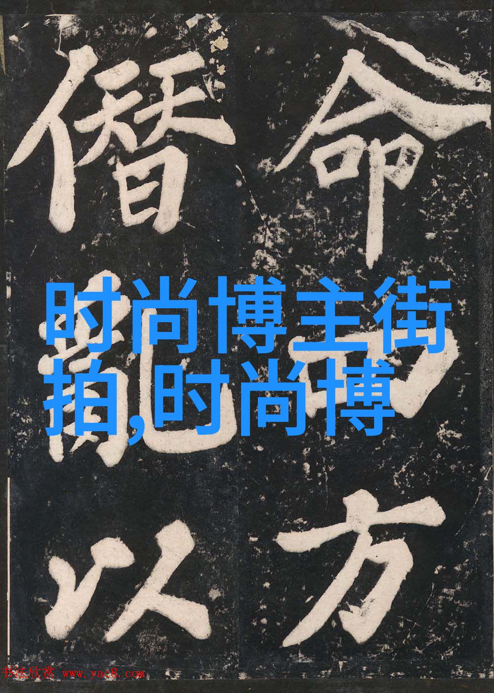 网络科技-解密www.333rrr.com数字世界的新宠儿