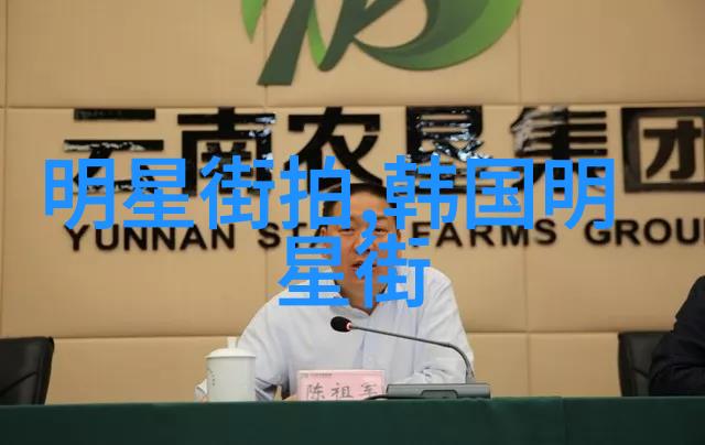 云泥青灯寻觅心灵之光