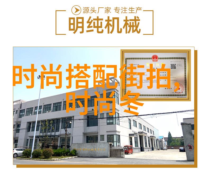 香港艺人张智霖的国籍之谜